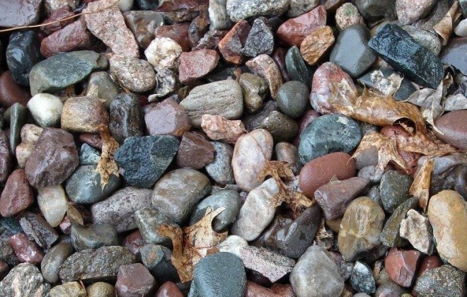 Megtalálod a békát a kövek között?
